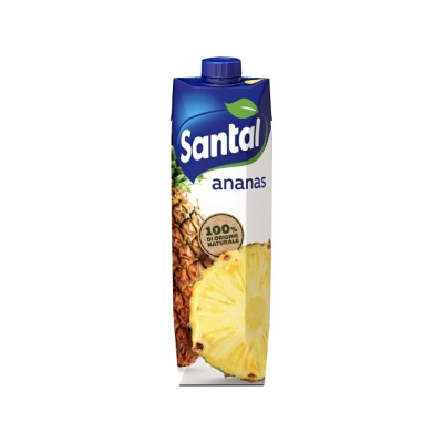 Santal Succo di Frutta Ananas 1l (SUCCO_FRUTTA_PRISMA_ANANAS_SANTAL_1LT.jpeg)